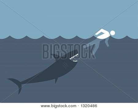 Shark8