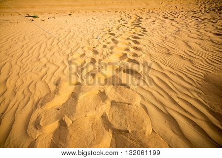 footsteps on desert with sand dunes at dubai