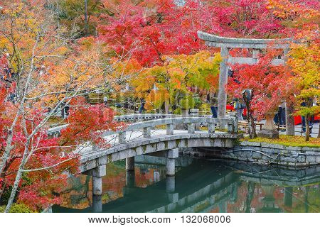 Eikando Zenrinji Temple in Kyoto Japan in autumn
