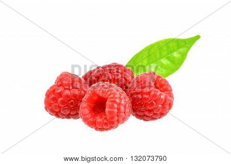 Red berry on white background with clipping path