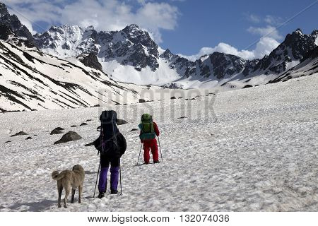 Two hikers with dog in spring snowy mountains. Turkey Kachkar Mountains (highest part of Pontic Mountains).