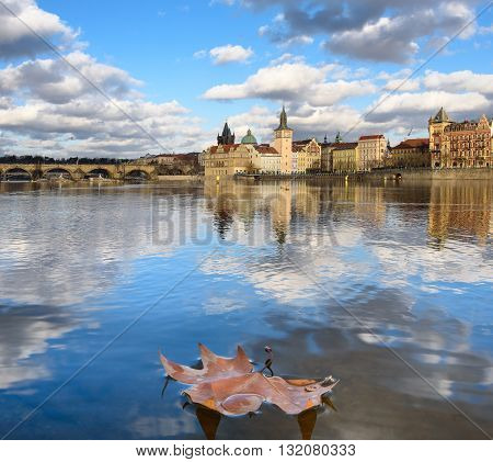 Autumn maple leaf on the Vltava River in Prague
