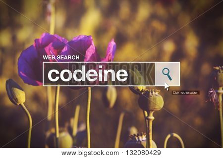 Codeine in internet browser search box opium poppy field in background