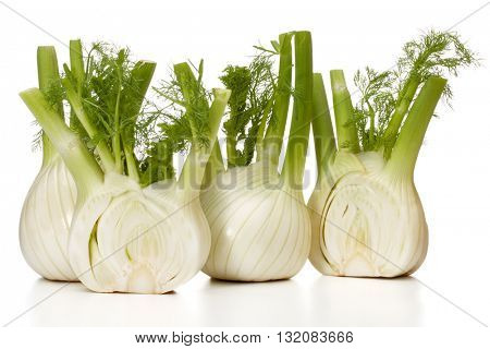 Fresh fennel bulb isolated on white background close up