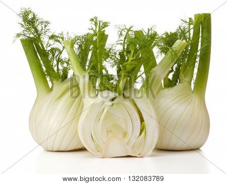 Fresh fennel bulb isolated on white background close up