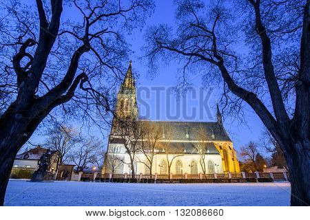 View of the Roman Catholic cathedral at night, Prague, Vysehrad