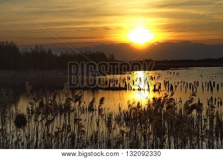 beautiful sunset over the lake with the sky yellow