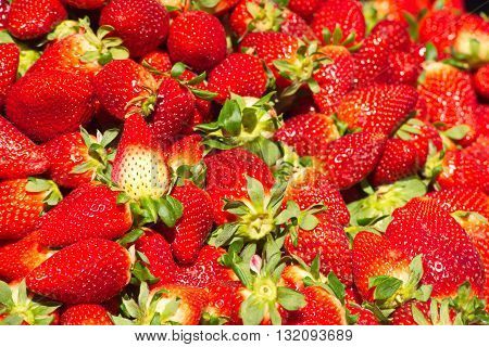 ripe fresh juicy strawberries red on the market