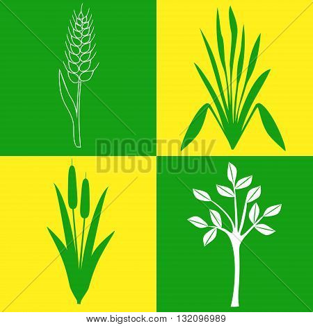four different icons on the topic of plants, botany, gardening