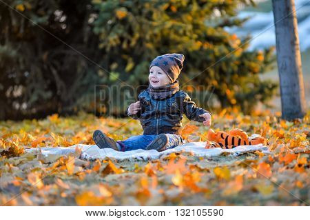 Cheerful baby sitting in the park in autumn. Kid playing on the grass in the fall. Children play in the park on the grass. Little boy sitting on the grass.
