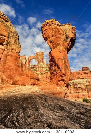 The Angel Arch span stretches over an opening of 120 by 135 feet and is one example of the fanciful shaped rock sculptures in this section of Canyonlands National Park. The Utah park hosts a jumbled up collection of rock features, including dominate sands