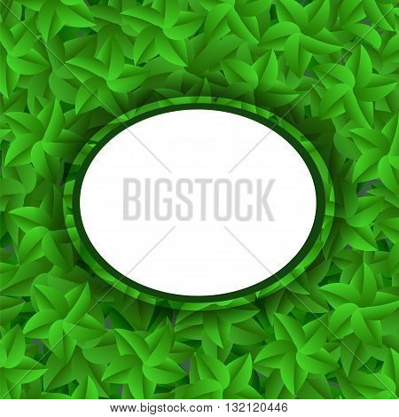 Green Leaves Pattern. Evergreen Hedgegrow. Summer Leaves Background