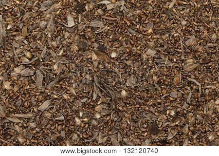 Organic dry common Wormwood Seeds (Artemisia absinthium). Macro close up background texture. Top view.