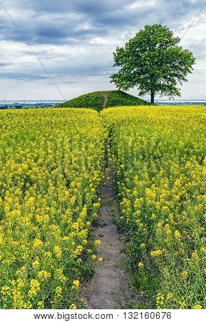 Ronneberga slopes is a collection of burial mounds 5 km east of Landskrona in Skåne Sweden.