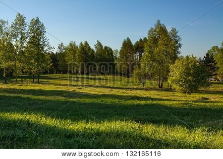 City lawn with green grass and blue sky