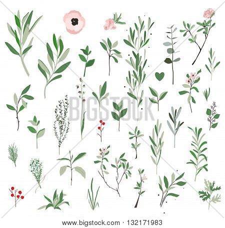 Set sprigs of green plants. Plants can use flyers patterns postcards invitations.