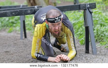 STOCKHOLM SWEDEN - MAY 14 2016: Struggling man crawling under bars in the obstacle race Tough Viking Event in Sweden April 14 2016