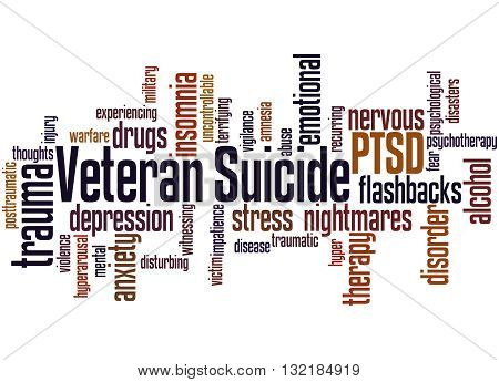Veteran Suicide, Word Cloud Concept 2