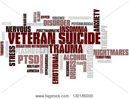 Veteran Suicide, Word Cloud Concept 4