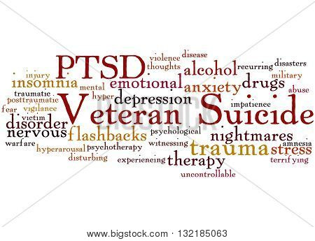 Veteran Suicide, Word Cloud Concept 5