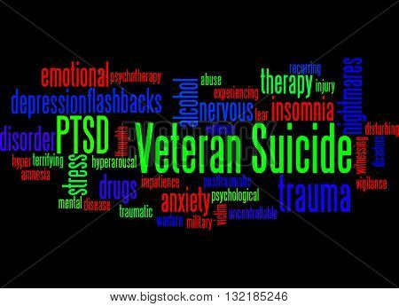 Veteran Suicide, Word Cloud Concept 8