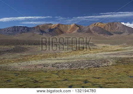 The altiplano, around 4000 metres above sea level, in Lauca National Park, Chile. In the foreground is a wetland area known locally as a bofedal, beyond are the colourful slopes of an extinct volcano.