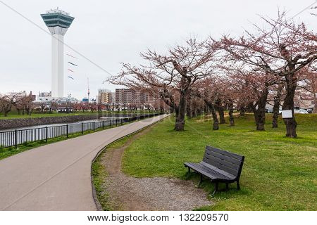 Goryokaku Park And Tower With Sakura, Hakodate