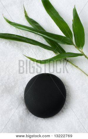 Spa kivi