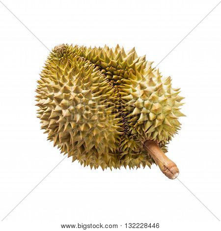 tropical fruit Durian isolated on white background