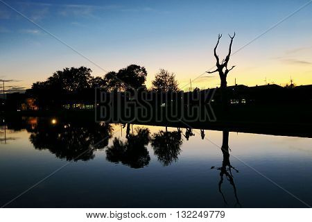 Sunset on the bayou in New Orleans Louisana USA. Relaxing moment observing reflections in the water