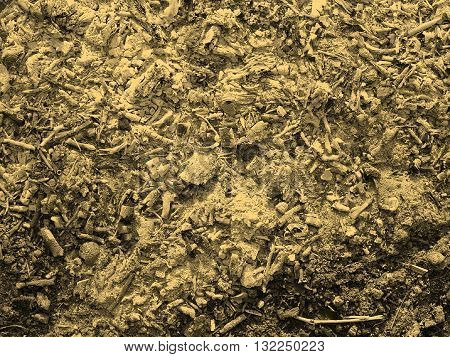 Charcoal Ashes Sepia