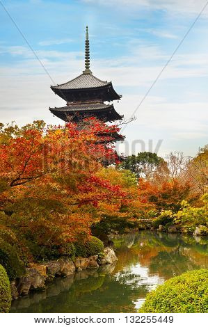 Autumn at Toji Temple in Kyoto Japan