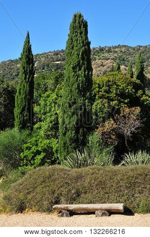 Rayol Canadel sur Mer France - april 18 2016 : the estate Rayol garden in spring