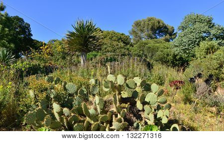 Rayol Canadel sur Mer France - april 18 2016 : the estate Rayol garden in spring
