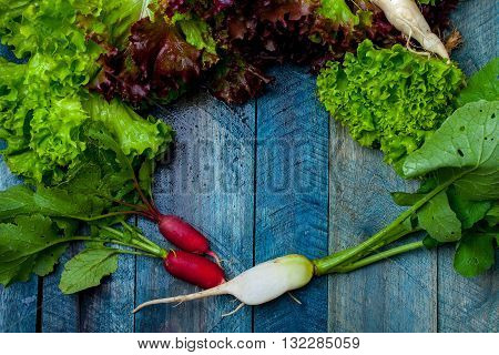 Fresh Salad And Radishes