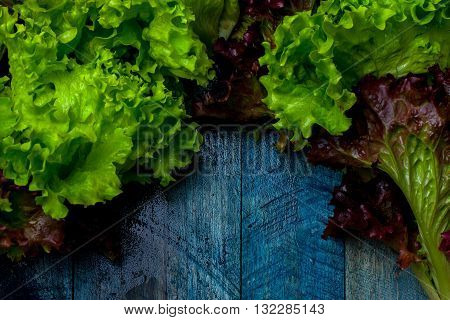 Fresh Salad Leaves