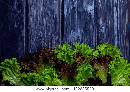 Fresh Salad Leaves