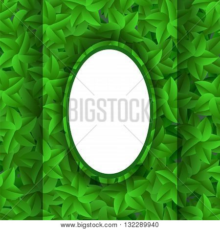 Green Leaves Pattern. Evergreen Hedgegrow. Summer Leaves Background