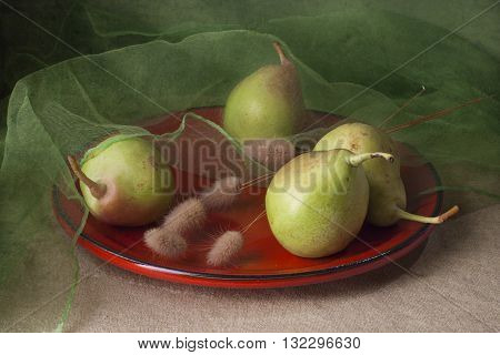 Still life with arrangement of pears on a plate