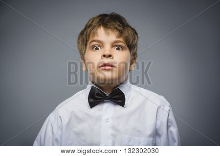 Closeup Scared and shocked little boys. Studio shot portrait over gray background. Human emotion face expression. Life perception achievement vision.