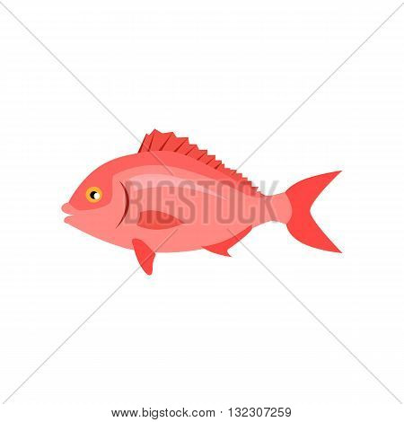 Sea fish in pink color isolated. Beautiful fish with a tail fin and flat style design. Water fauna animals live underwater in the ocean or the sea isolated on white background. Vector illustration