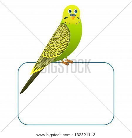 Green cartoon bird on a blank board
