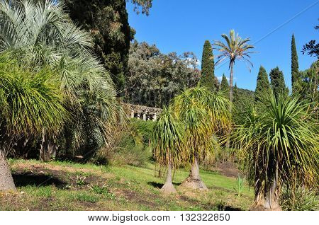 Rayol Canadel sur Mer France - april 18 2016 : the estate Rayol garden in spring