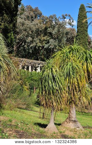 Rayol Canadel sur Mer France - april 18 2016 : the estate Rayol garden in spring