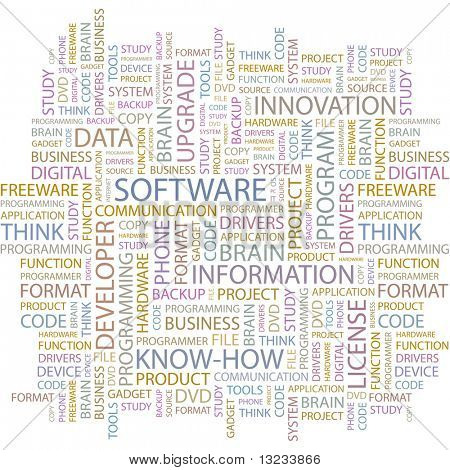 SOFTWARE. Word collage on white background. Illustration with different association terms.