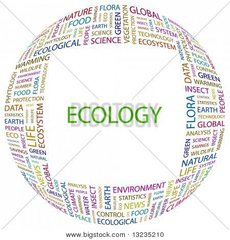 ECOLOGY. Word collage on white background. Illustration with different association terms.