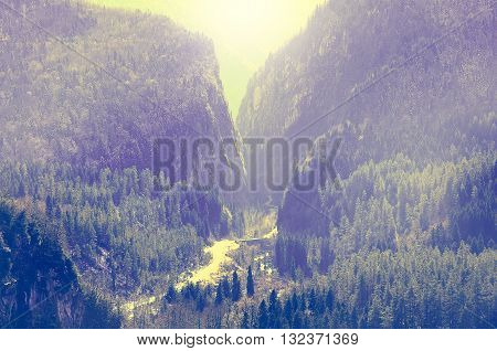 Road in the gorge to Ritsa lake. Caucasus. Abkhazia.