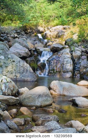 Forest creek