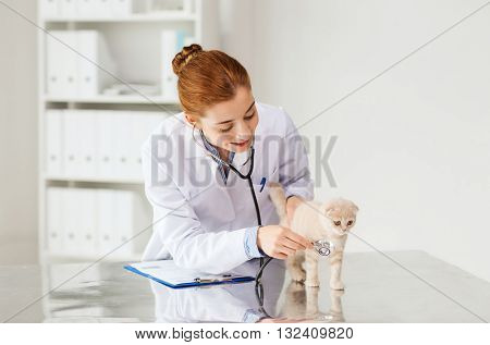 medicine, pet, animals, health care and people concept - happy veterinarian doctor with stethoscope checking scottish fold kitten up at vet clinic