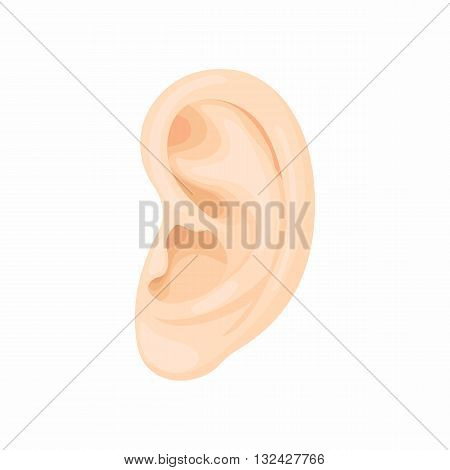 Human ear icon in cartoon style on a white background